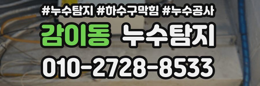 감이동 누수탐지업체