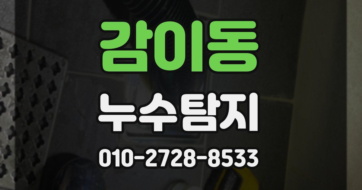 감이동 누수공사