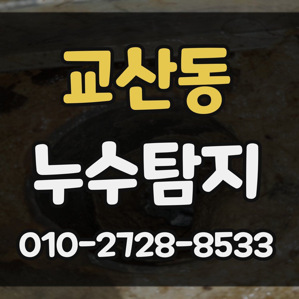 교산동 누수탐지