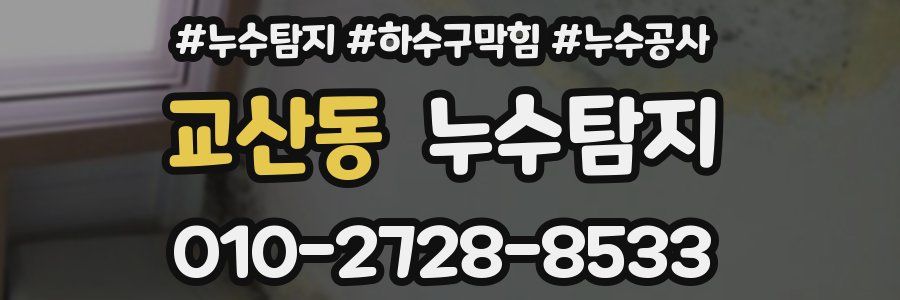 교산동 누수탐지업체