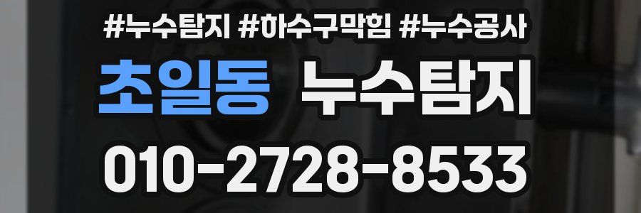 초일동 누수탐지업체
