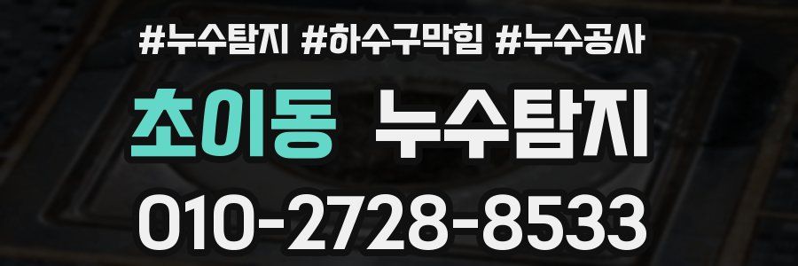 초이동 누수탐지업체