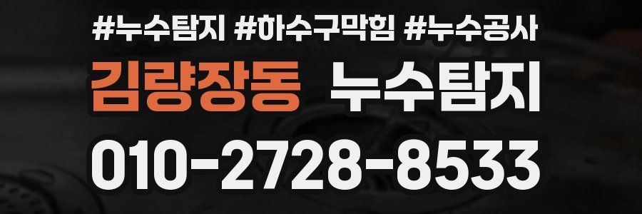 김량장동 누수탐지업체