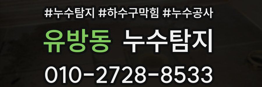 유방동 누수탐지업체