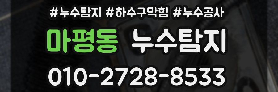 마평동 누수탐지업체