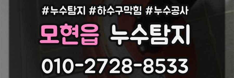 모현읍 누수탐지업체