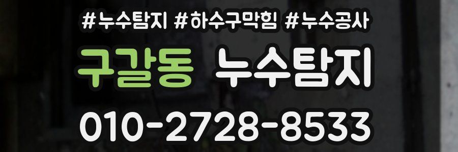 구갈동 누수탐지업체