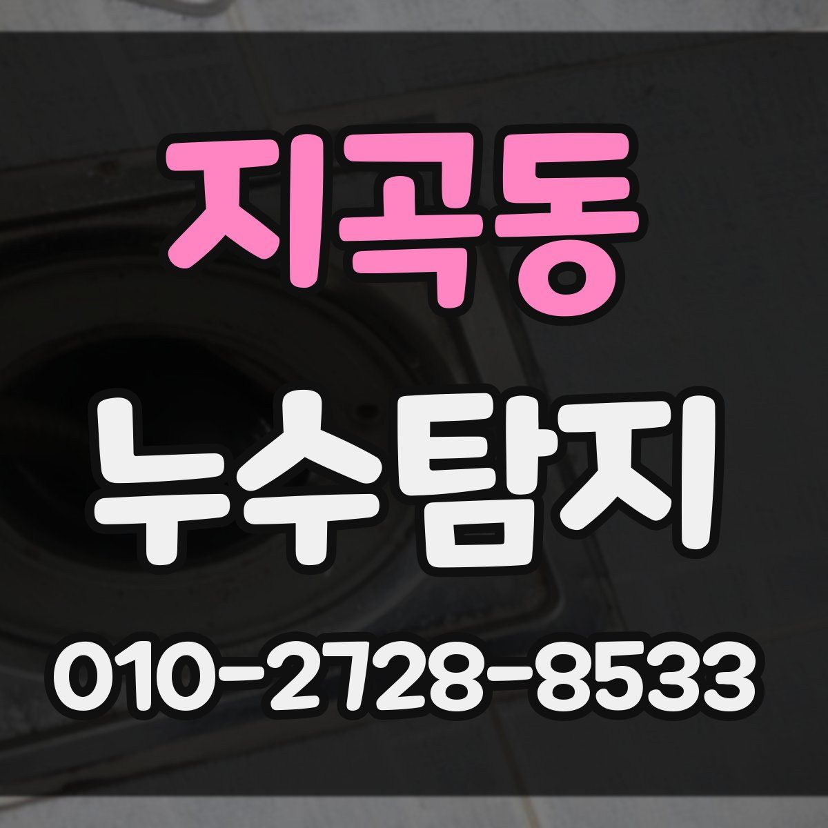 지곡동 누수탐지
