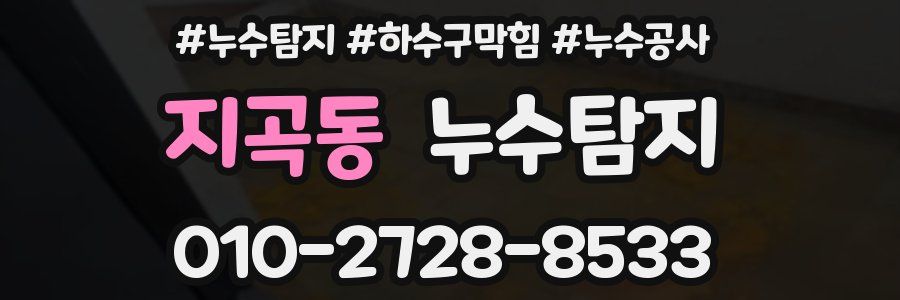 지곡동 누수탐지업체