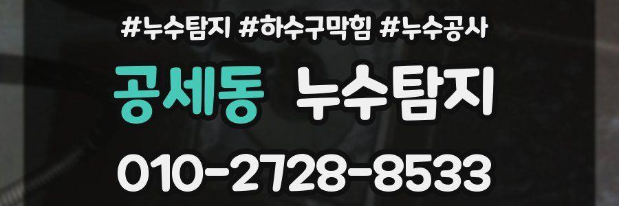 공세동 누수탐지업체