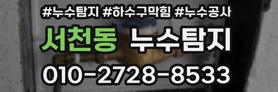 서천동 누수탐지업체
