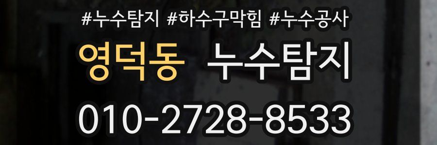 영덕동 누수탐지업체