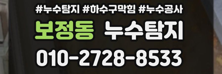 보정동 누수탐지업체