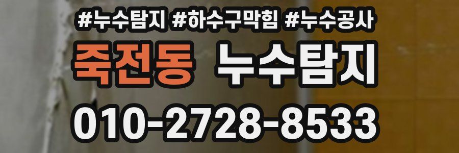 죽전동 누수탐지업체