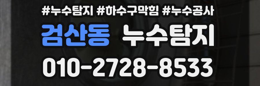 검산동 누수탐지업체