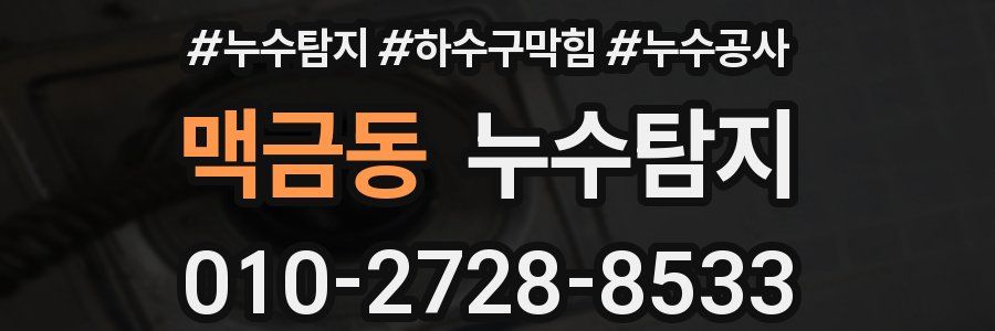 맥금동 누수탐지업체