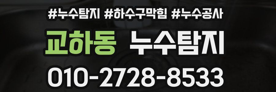 교하동 누수탐지업체