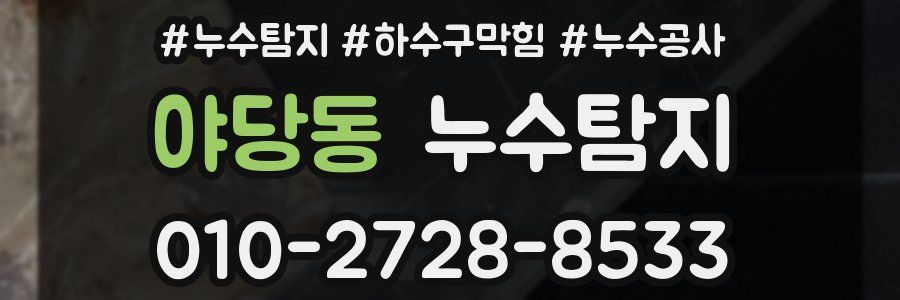 야당동 누수탐지업체