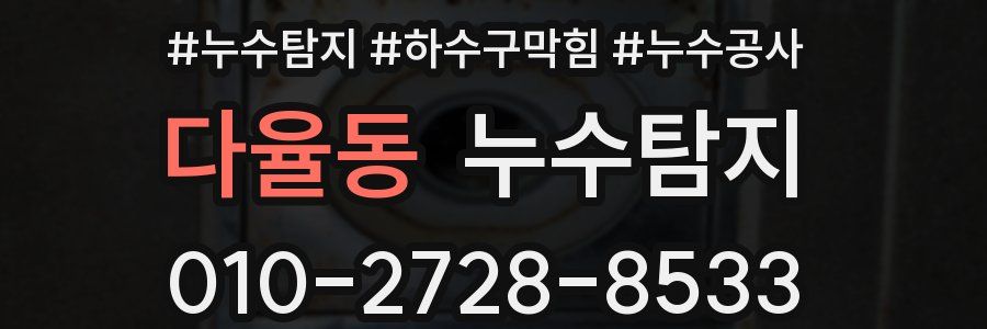다율동 누수탐지업체