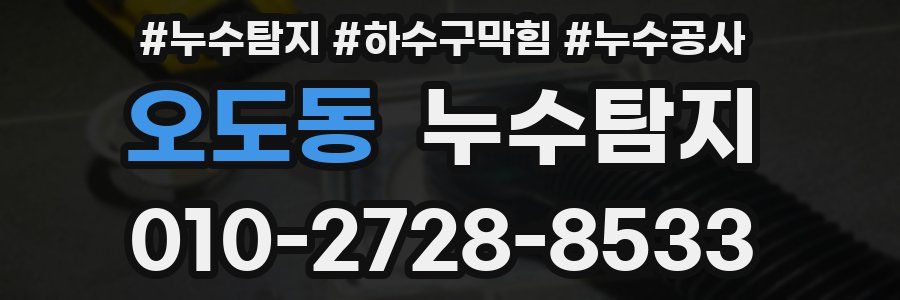 오도동 누수탐지업체