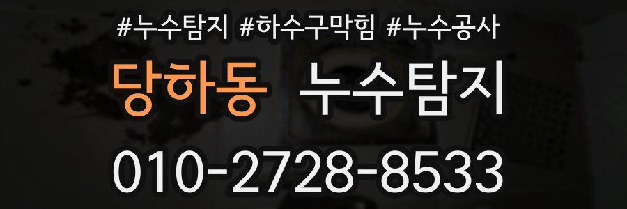 당하동 누수탐지업체