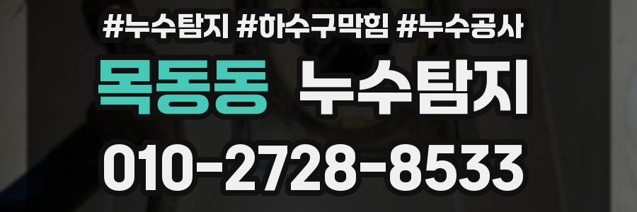목동동 누수탐지업체