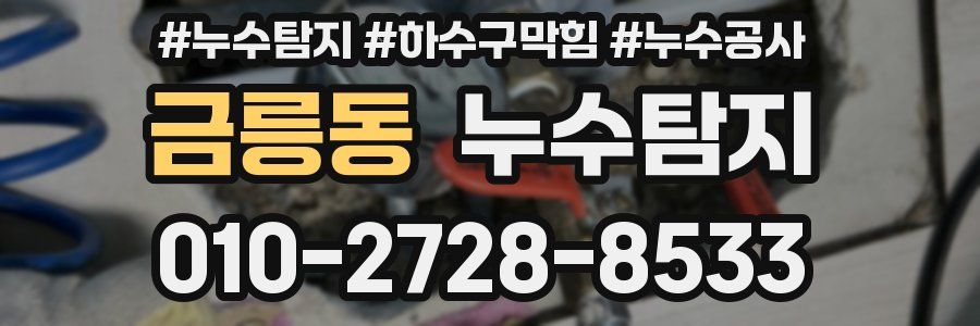 금릉동 누수탐지업체
