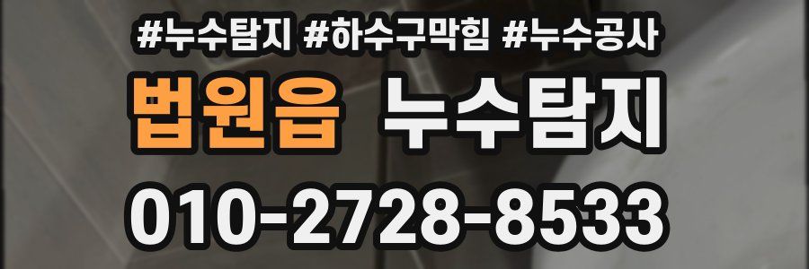 법원읍 누수탐지업체
