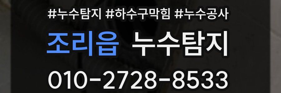 조리읍 누수탐지업체