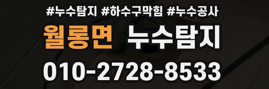 월롱면 누수탐지업체