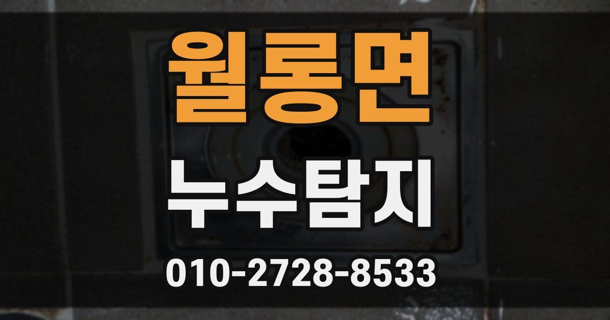 월롱면 누수공사
