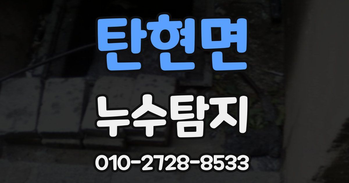 탄현면 누수공사