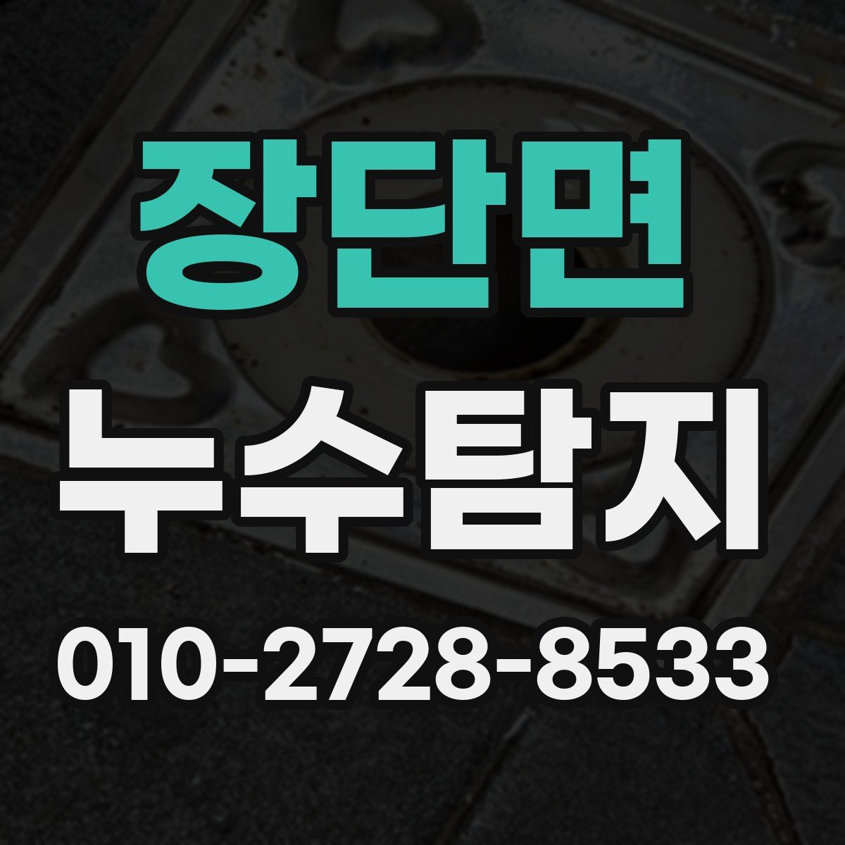장단면 누수탐지