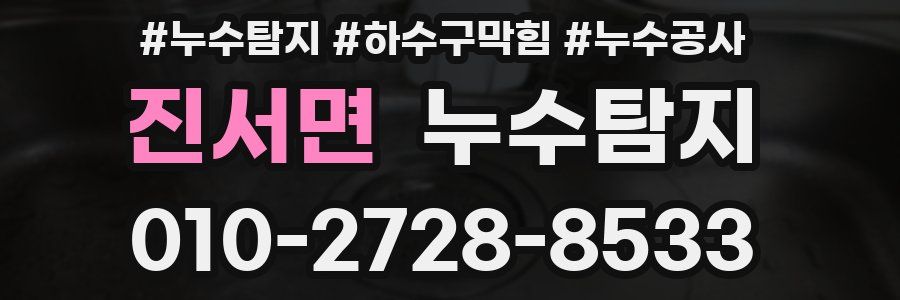 진서면 누수탐지업체