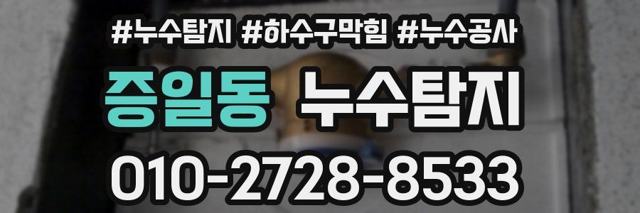 증일동 누수탐지업체