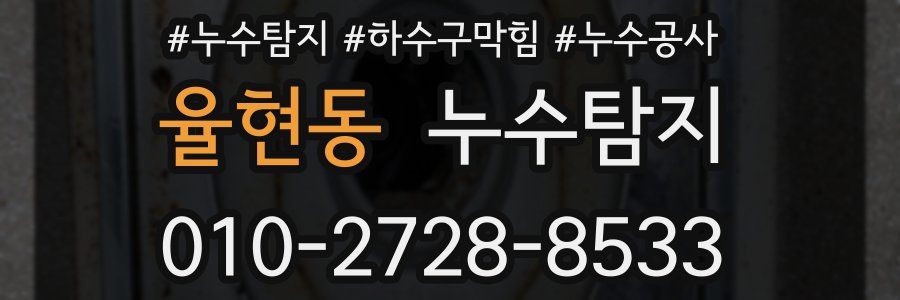 율현동 누수탐지업체