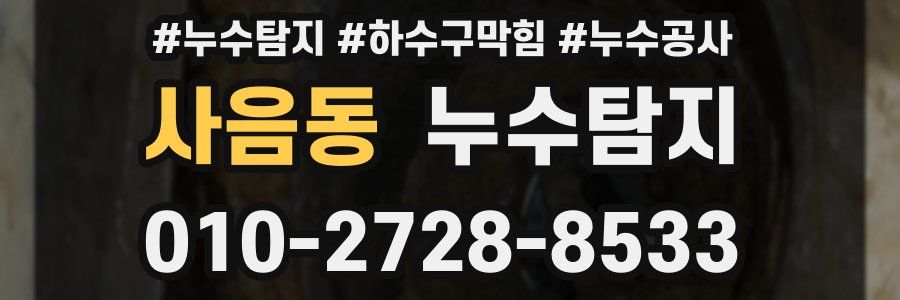 사음동 누수탐지업체