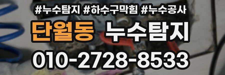 단월동 누수탐지업체