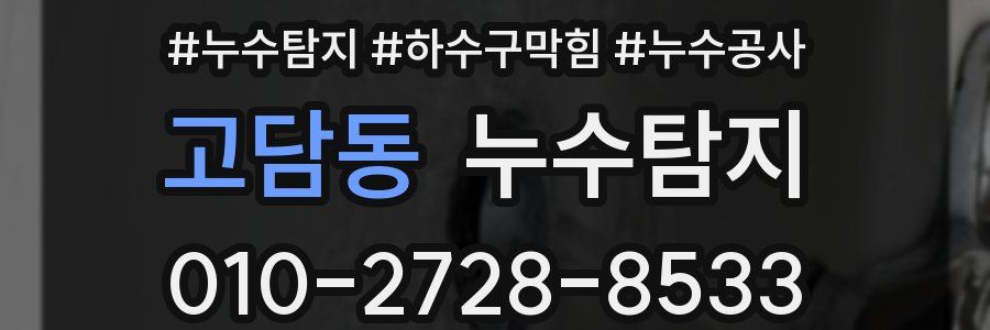 고담동 누수탐지업체