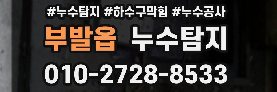 부발읍 누수탐지업체