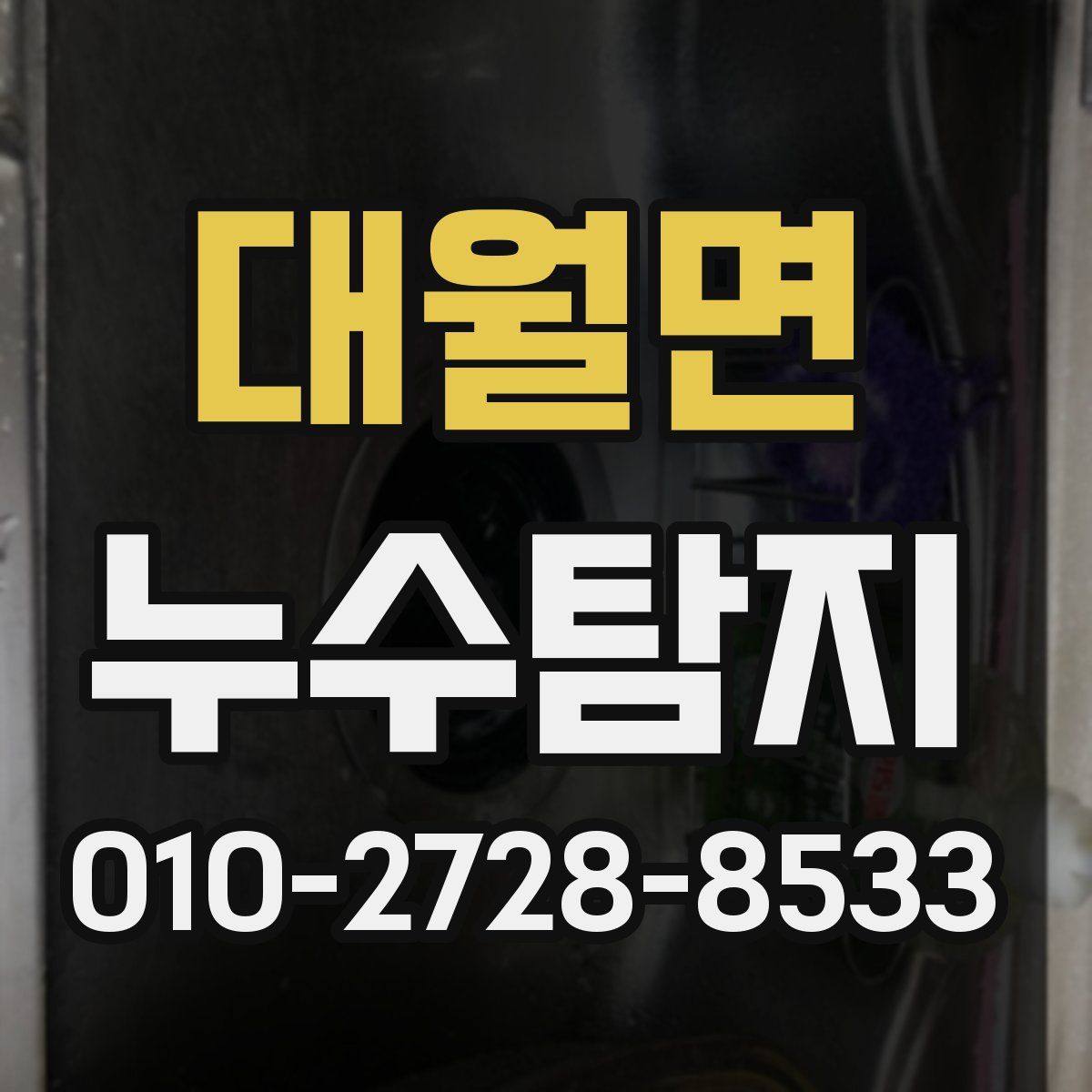대월면 누수탐지
