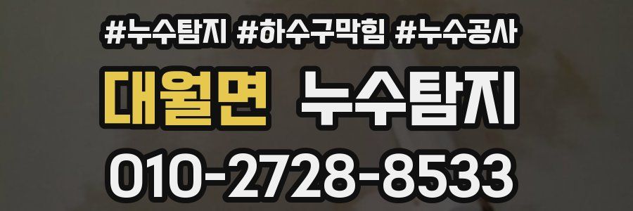 대월면 누수탐지업체