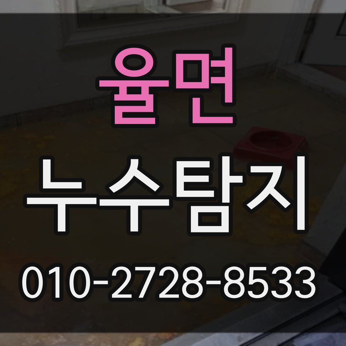 율면 누수탐지