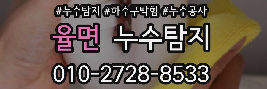 율면 누수탐지업체