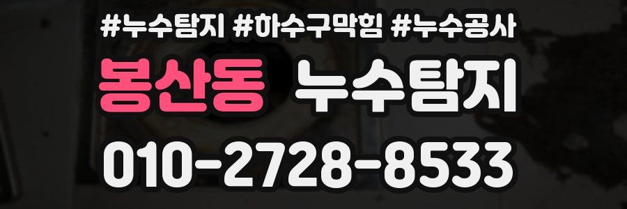 봉산동 누수탐지업체