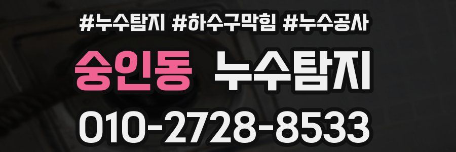 숭인동 누수탐지업체