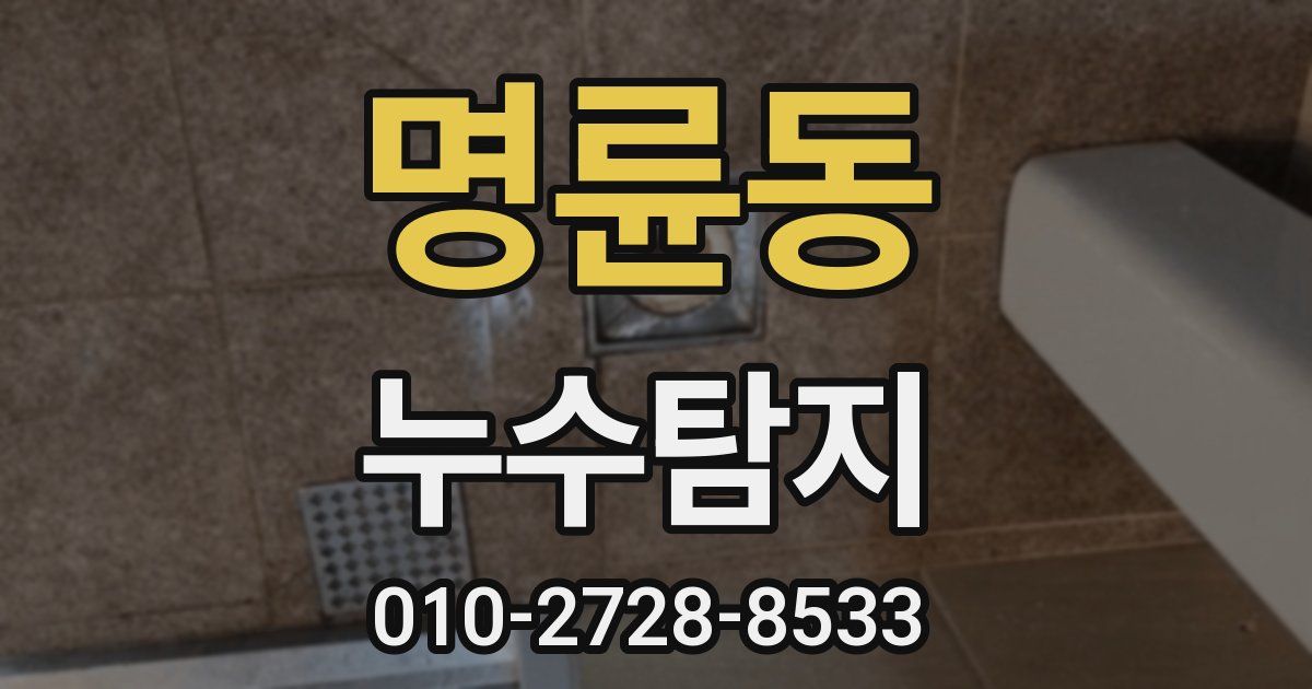 명륜동 누수공사