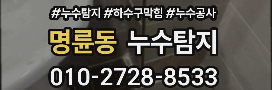 명륜동 누수탐지업체