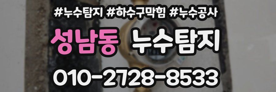 성남동 누수탐지업체