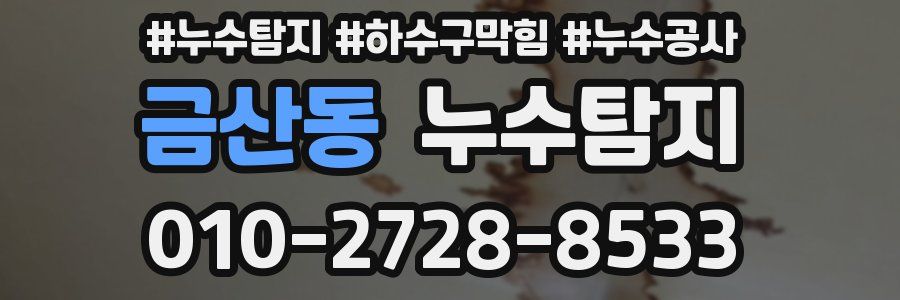 금산동 누수탐지업체